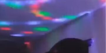 imagem de um teto, em ambiente com pouca iluminação refletindo luzes coloridas