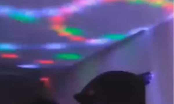 imagem de um teto, em ambiente com pouca iluminação refletindo luzes coloridas