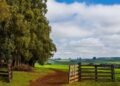 Fazenda de R$ 15 bilhões redefine o patamar do agronegócio brasileiro 3 Fazenda de R$ 15 bilhões redefine o patamar do agronegócio brasileiro
