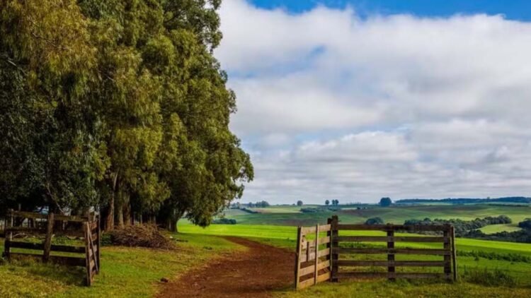 Fazenda de R$ 15 bilhões redefine o patamar do agronegócio brasileiro 1 Fazenda de R$ 15 bilhões redefine o patamar do agronegócio brasileiro