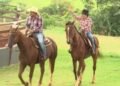 Fazenda de Rionegro e Solimões revela o lado rural da dupla sertaneja