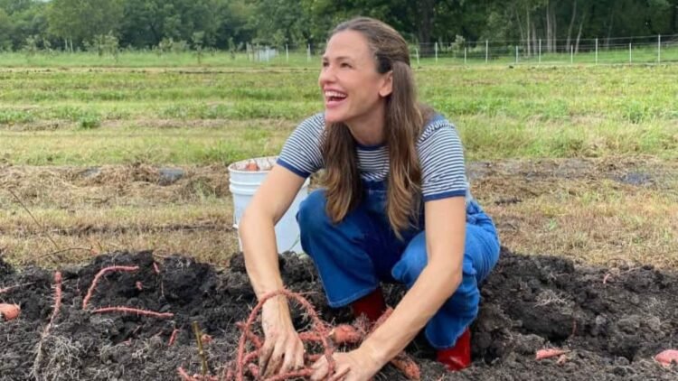 Fazenda milionária de Jennifer Garner em Los Angeles e o refúgio familiar 1 Fazenda milionária de Jennifer Garner em Los Angeles e o refúgio familiar