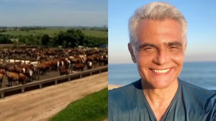 Fazenda Tarcísio Filho: ator assume gestão de propriedade no Pará