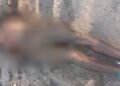 corpo de um homem localizado em açude em Camaçari