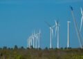 Inovação e capacitação guiam estratégia para transição de baixo carbono no Nordeste 2 Inovação e capacitação guiam estratégia para transição de baixo carbono no Nordeste