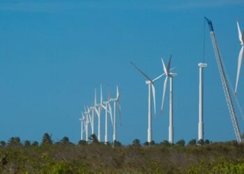 Inovação e capacitação guiam estratégia para transição de baixo carbono no Nordeste