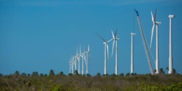 Inovação e capacitação guiam estratégia para transição de baixo carbono no Nordeste