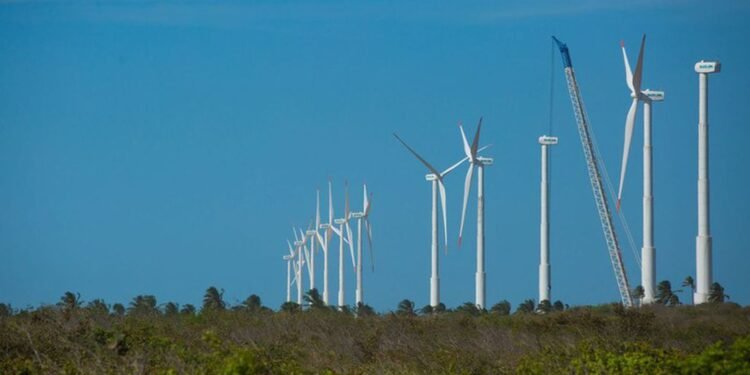 Inovação e capacitação guiam estratégia para transição de baixo carbono no Nordeste