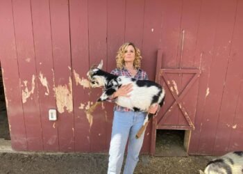 Kevin Bacon presenteia Kyra Sedgwick com vacas em celebração de aniversário