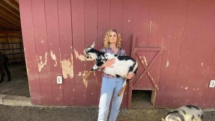 Kevin Bacon presenteia Kyra Sedgwick com vacas em celebração de aniversário