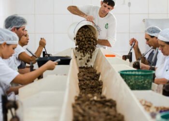 Prazo para opinar sobre exigências ambientais no acordo Mercosul-ue encerra nesta quarta