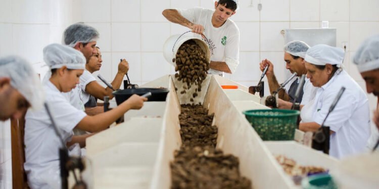 Prazo para opinar sobre exigências ambientais no acordo Mercosul-ue encerra nesta quarta