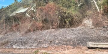 fogo em mata na BR-324