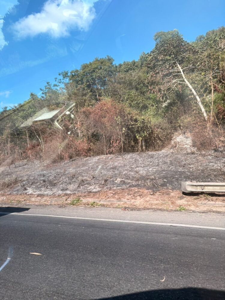 fogo em mata na BR-324