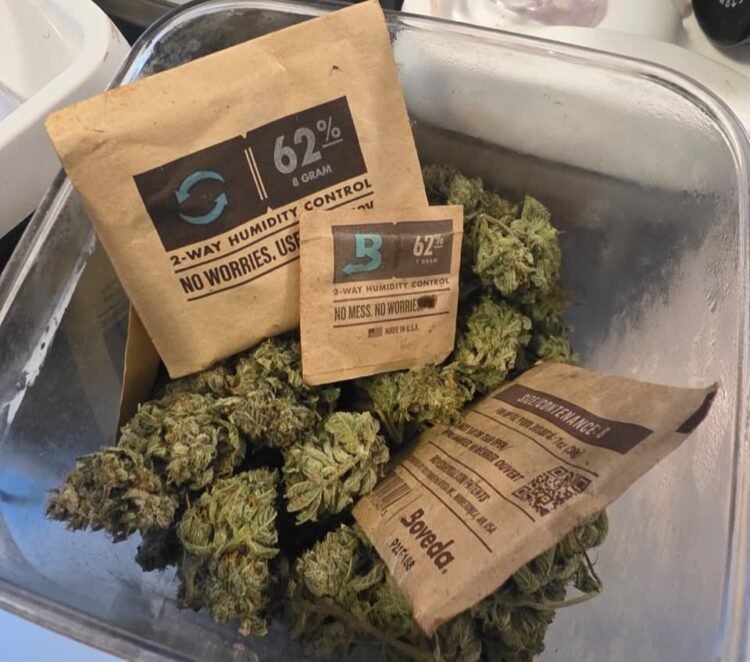 drogas vendidas em alto padrão na Bahia