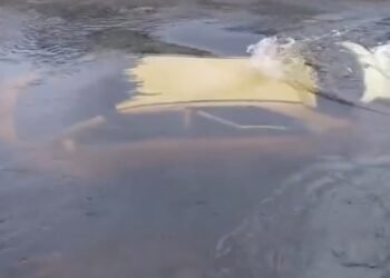 carro submerso em Santo Amaro