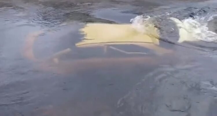 carro submerso em Santo Amaro