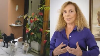 Arlete Salles abre as portas de seu refúgio no Rio de Janeiro com memórias e raízes