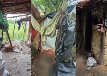 Onze trabalhadores são resgatados de condições análogas à escravidão em fazenda na BA