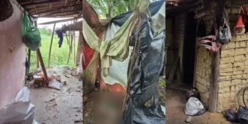 Onze trabalhadores são resgatados de condições análogas à escravidão em fazenda na BA