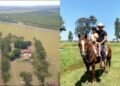 Conheça a fazenda de Aleksandro no Pantanal que servia de refúgio ao cantor 3 Conheça a fazenda de Aleksandro no Pantanal que servia de refúgio ao cantor