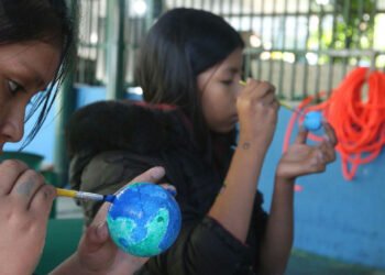Formação contínua de professores é vital para o ensino de ciências no Brasil