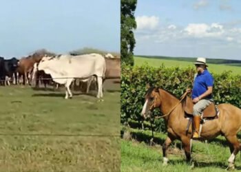 Galvão Bueno mantém refúgio de luxo com mais de 100 hectares no Rio Grande do Sul