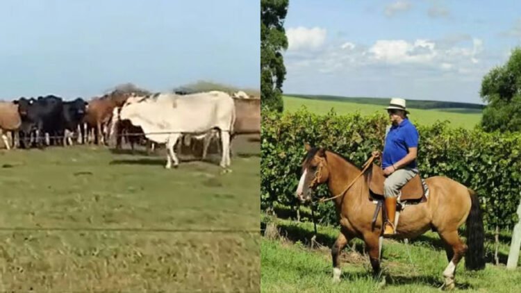 Galvão Bueno mantém refúgio de luxo com mais de 100 hectares no Rio Grande do Sul