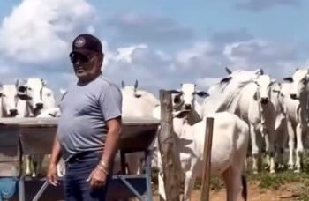 Gino, da dupla com Geno, revela como construiu fortuna na pecuária