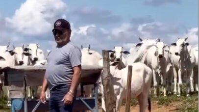 Gino, da dupla com Geno, revela como construiu fortuna na pecuária