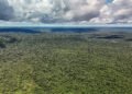 Governo federal obtém aval para captar US$ 1 bilhão junto ao BID visando o Eco Invest Brasil
