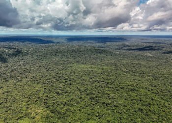 Governo federal obtém aval para captar US$ 1 bilhão junto ao BID visando o Eco Invest Brasil