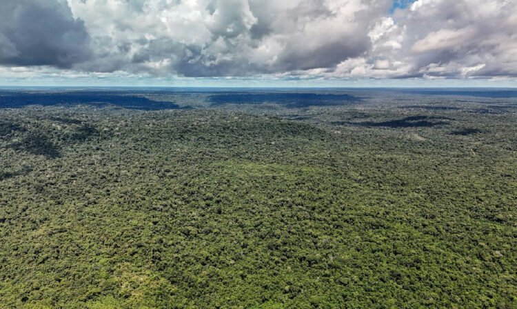 Governo federal obtém aval para captar US$ 1 bilhão junto ao BID visando o Eco Invest Brasil 1 Governo federal obtém aval para captar US$ 1 bilhão junto ao BID visando o Eco Invest Brasil