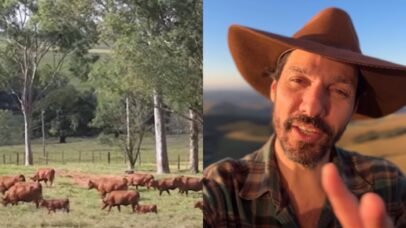 Guito: conheça a fazenda de queijos do ator de Pantanal em Minas Gerais