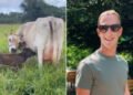 Mark Zuckerberg investe em pecuária de luxo com criação de gado Wagyu