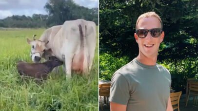 Mark Zuckerberg investe em pecuária de luxo com criação de gado Wagyu