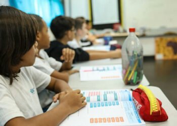 MEC e Capes abrem 8 mil vagas de pós-graduação gratuita para docentes da rede pública