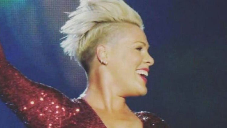 Pink celebra 47 anos com mansão histórica de luxo em Nova York