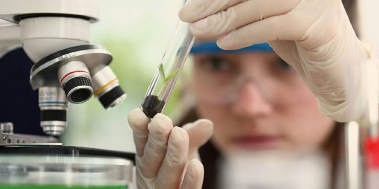Prêmio Carolina Bori abre inscrições para jovens cientistas brasileiras