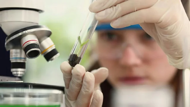 Programa Futuras Cientistas abre 470 vagas para imersão em laboratórios