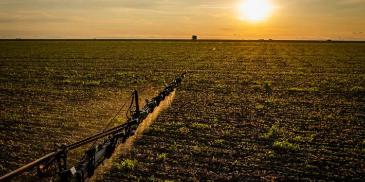 Seguro rural ganha novas regras para ampliar proteção ao produtor