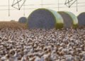 Sorriso perde liderança no agronegócio após redivisão territorial