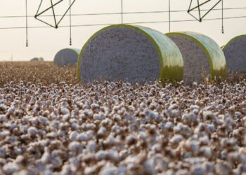 Sorriso perde liderança no agronegócio após redivisão territorial