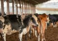União Europeia suspende importação de carnes e produtos de origem animal do Brasil 2 União Europeia suspende importação de carnes e produtos de origem animal do Brasil