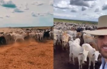 Zé Neto investe em pecuária de elite e mantém fazenda luxuosa no Tocantins