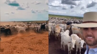 Zé Neto investe em pecuária de elite e mantém fazenda luxuosa no Tocantins