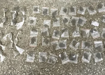 drogas apreendidas em saubara