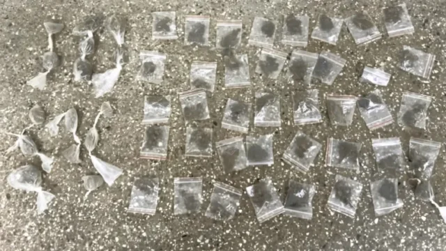 drogas apreendidas em saubara