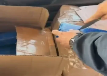 maconha e cocaína apreendida em caminhão