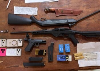 armas apreendidas